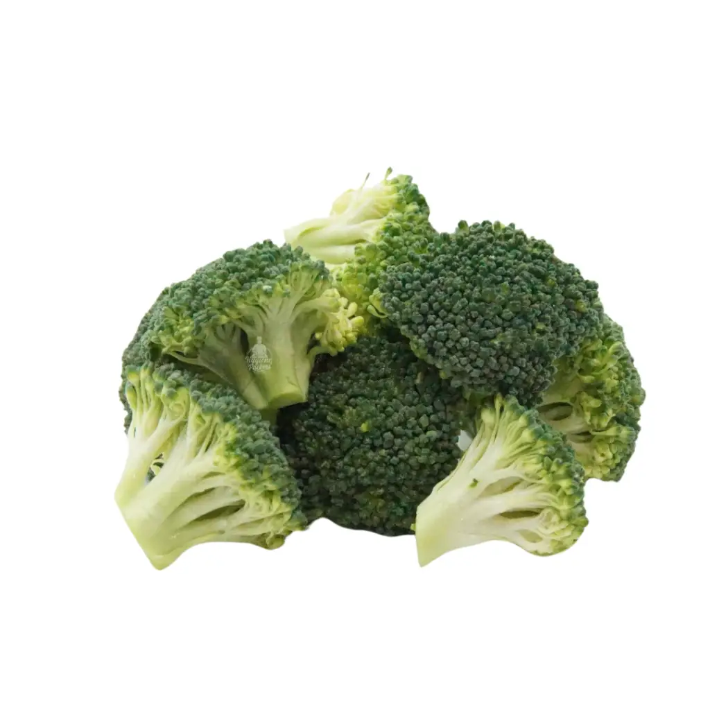Fresh broccoli florets piled together