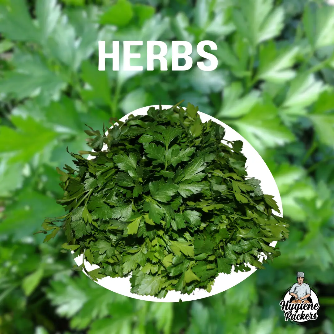 Fresh green herbs background