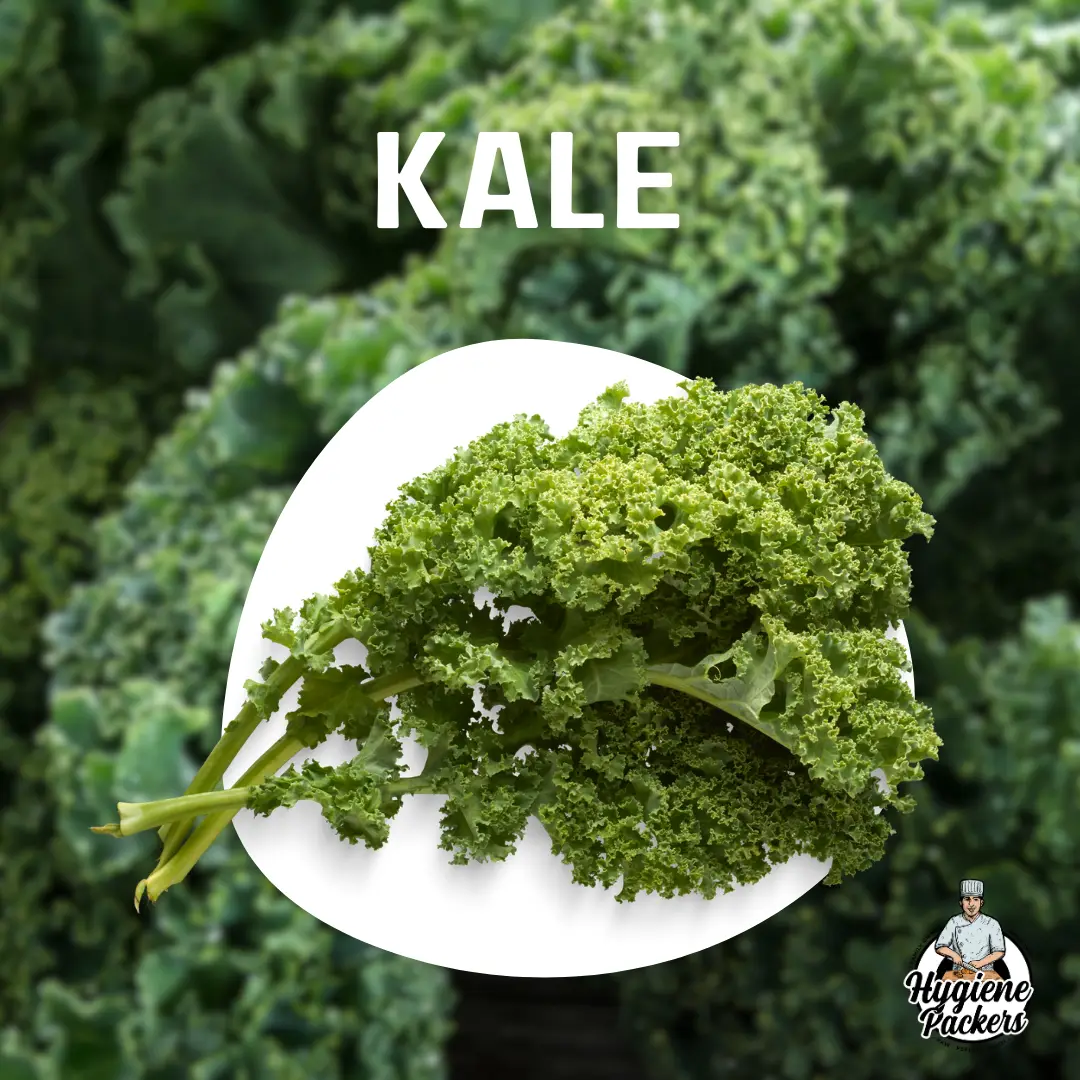 Fresh green kale on plate