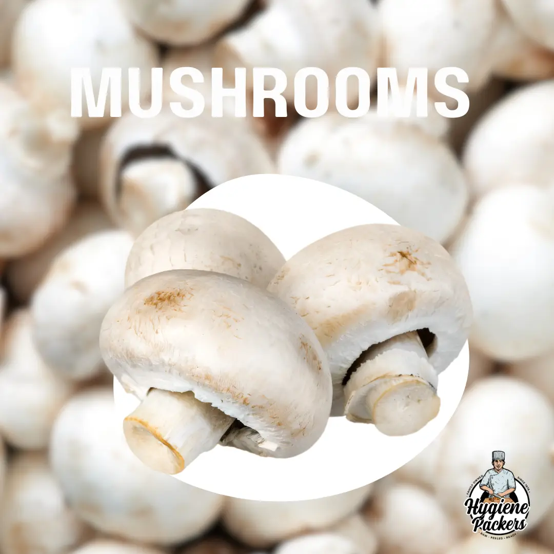 Fresh white mushrooms close-up.