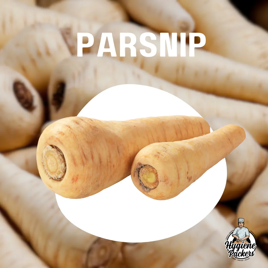 Fresh parsnips in a pile