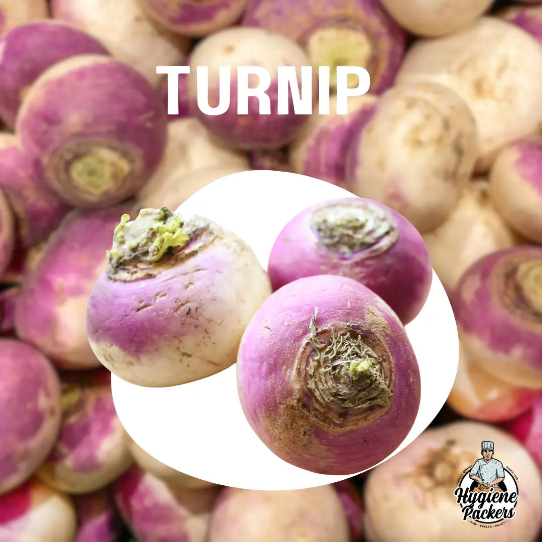 Fresh turnip vegetables for sale