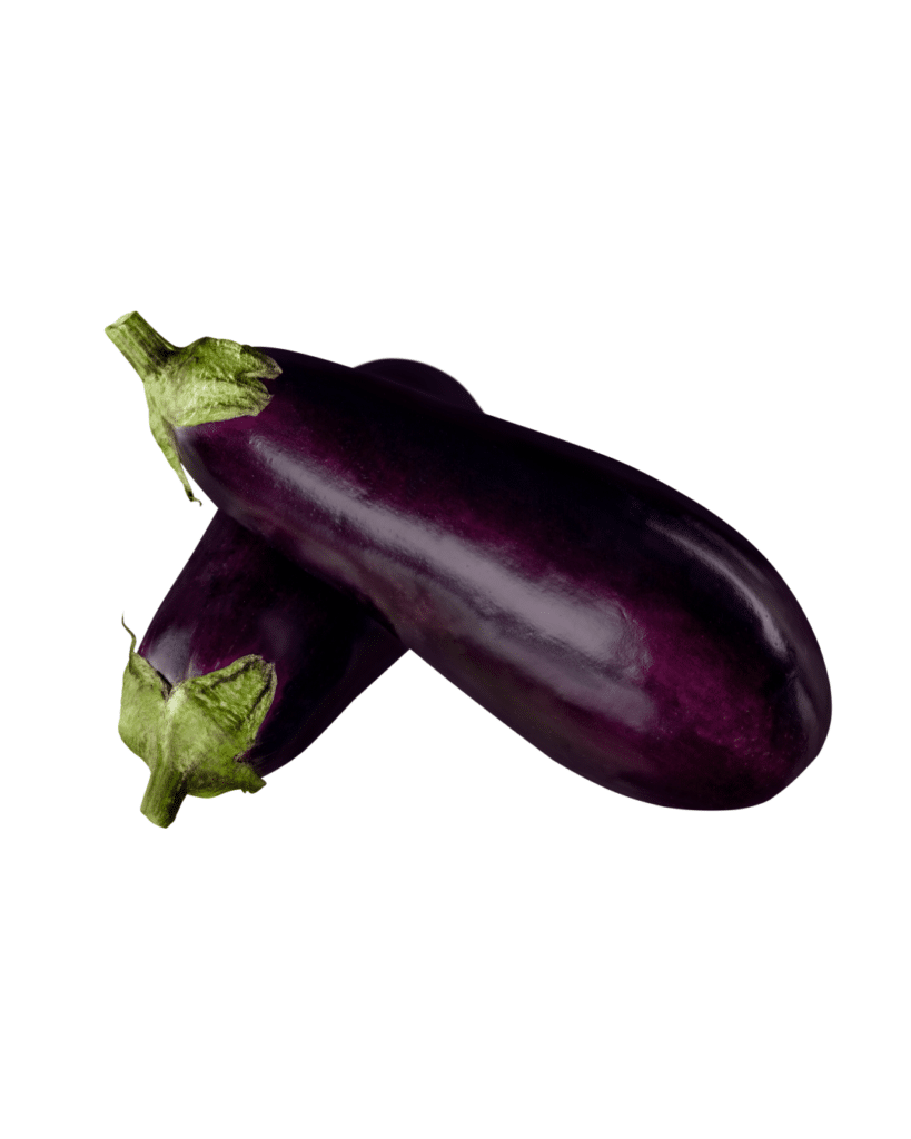Two purple eggplants on white
